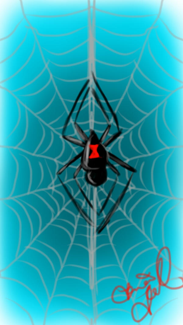 Spider Insect Deviantart SPIDER by JessieRose96 on DeviantArt