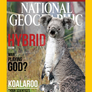 Hybrid National Geographic - Koalaroo