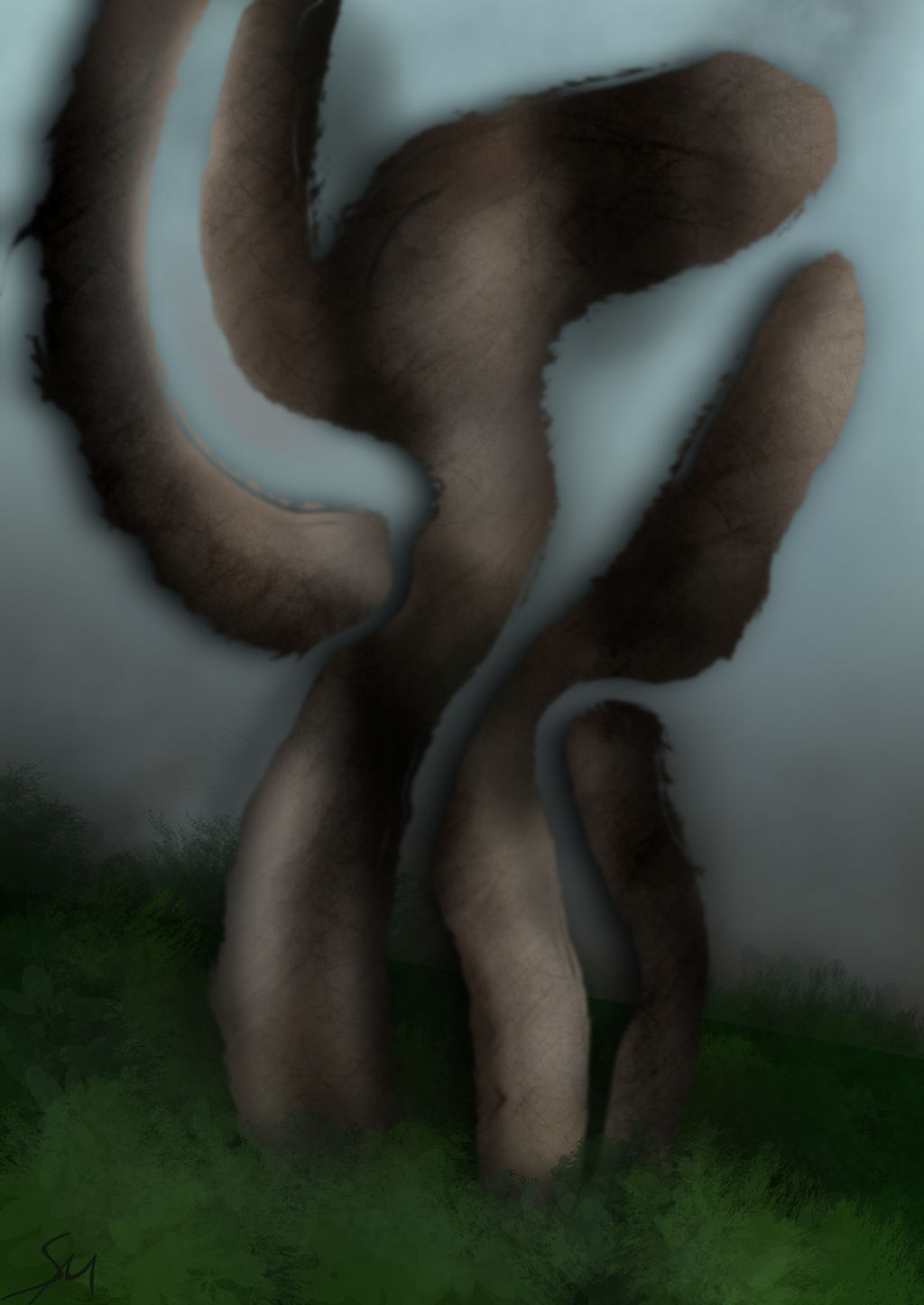 Fallen Twig Fallen Twig