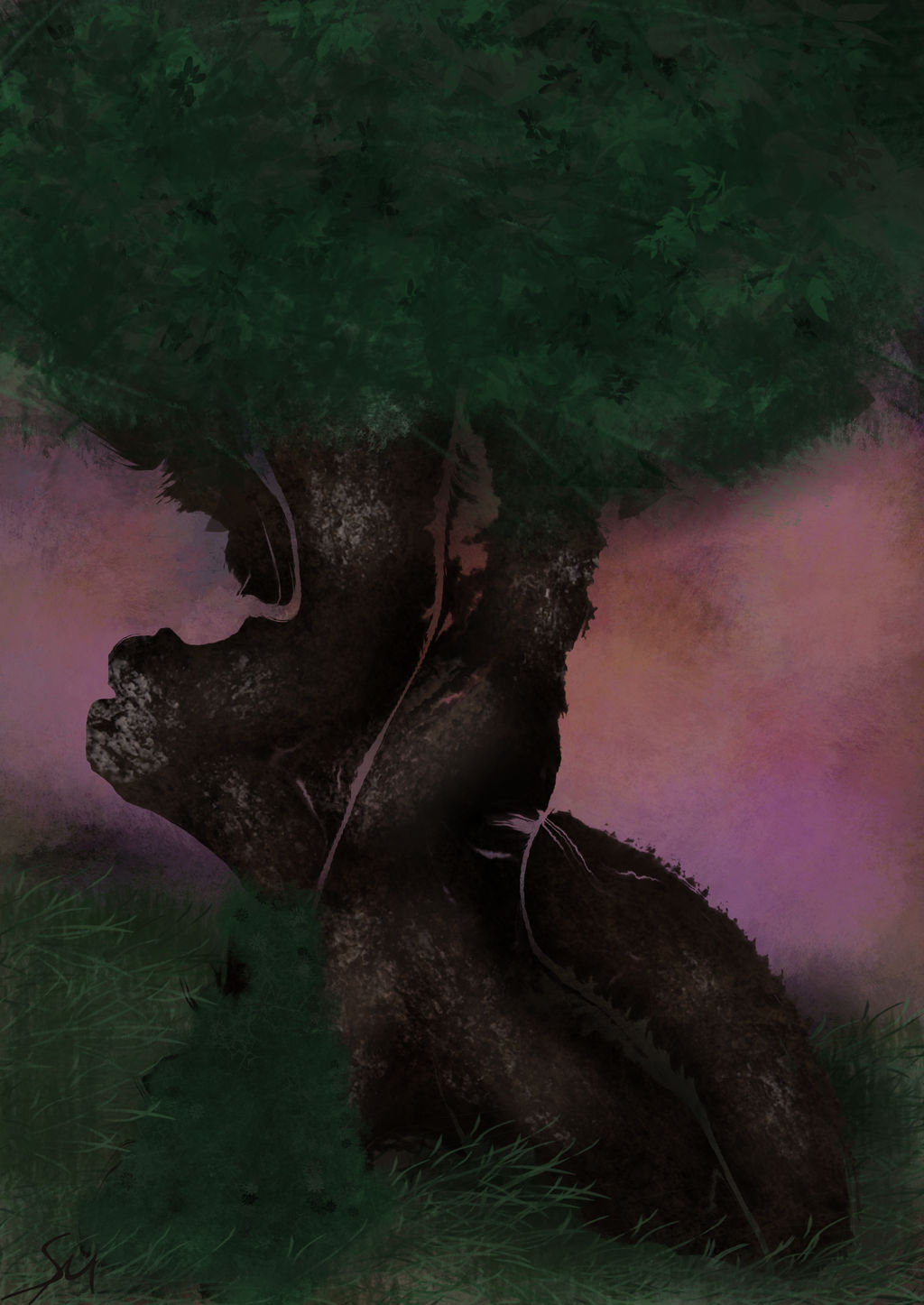 Tree Sunset 001 Tree Sunset 001