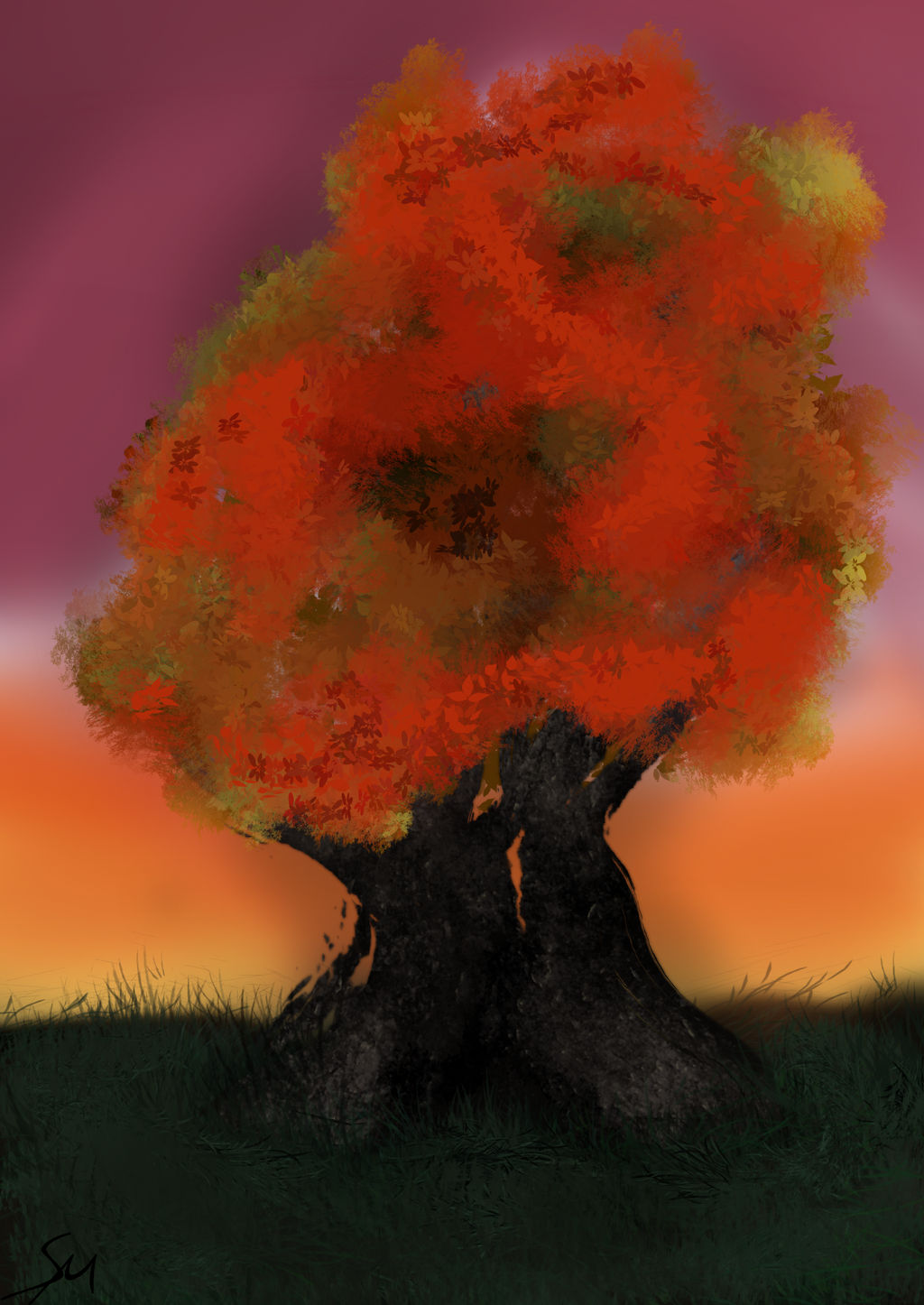 Tree Sunset 002
