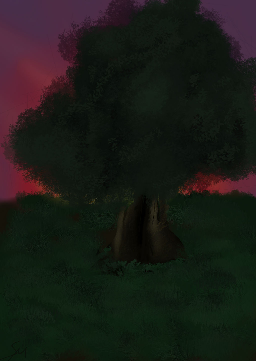 Tree Sunset 003