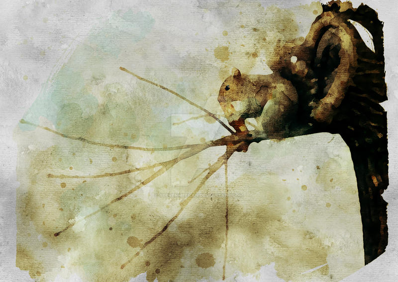 Squirrel Eating a piece of Pizza Squirrel Eating a piece of Pizza