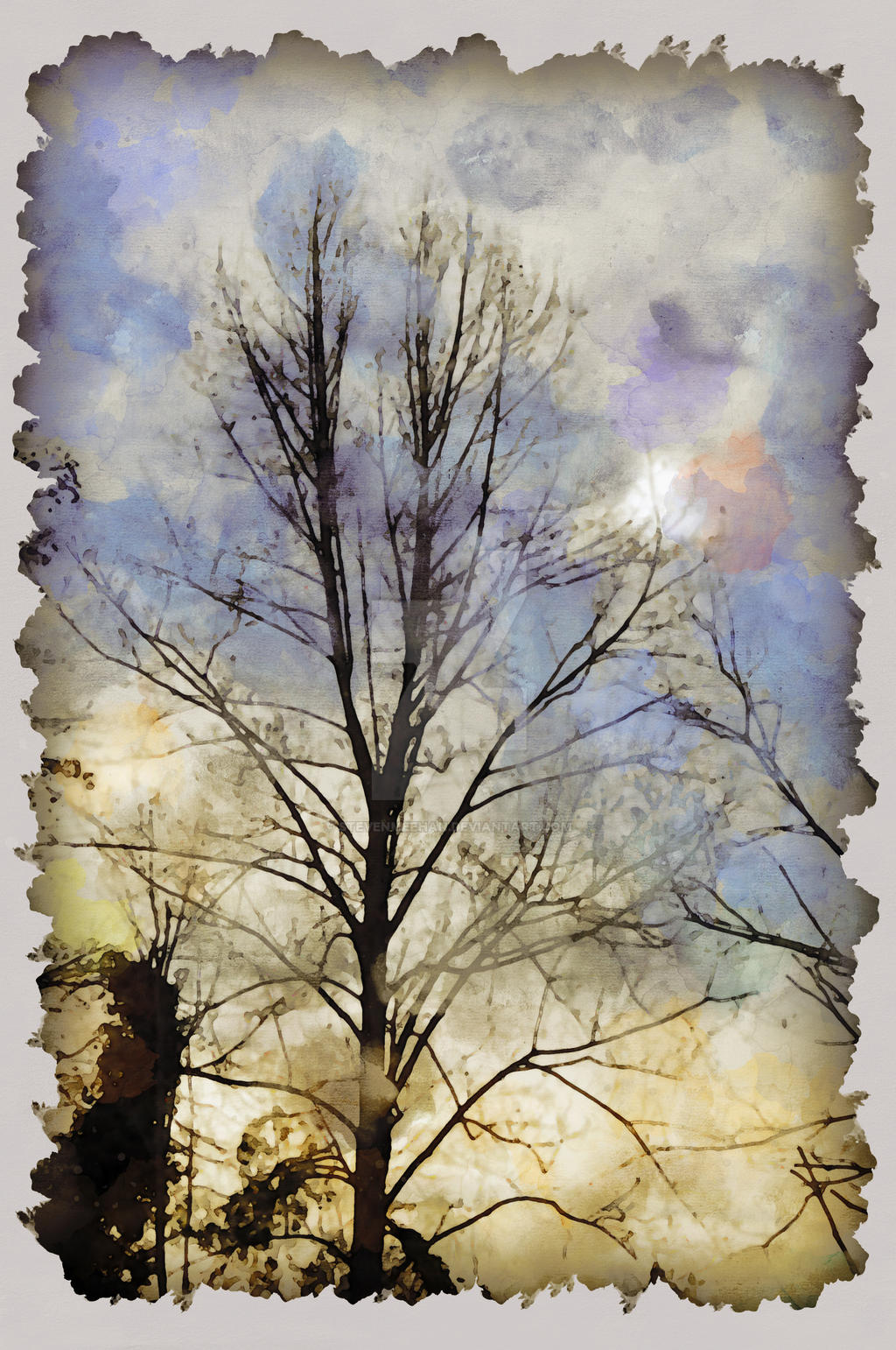 Sunlit Bare Tree Sunlit Bare Tree