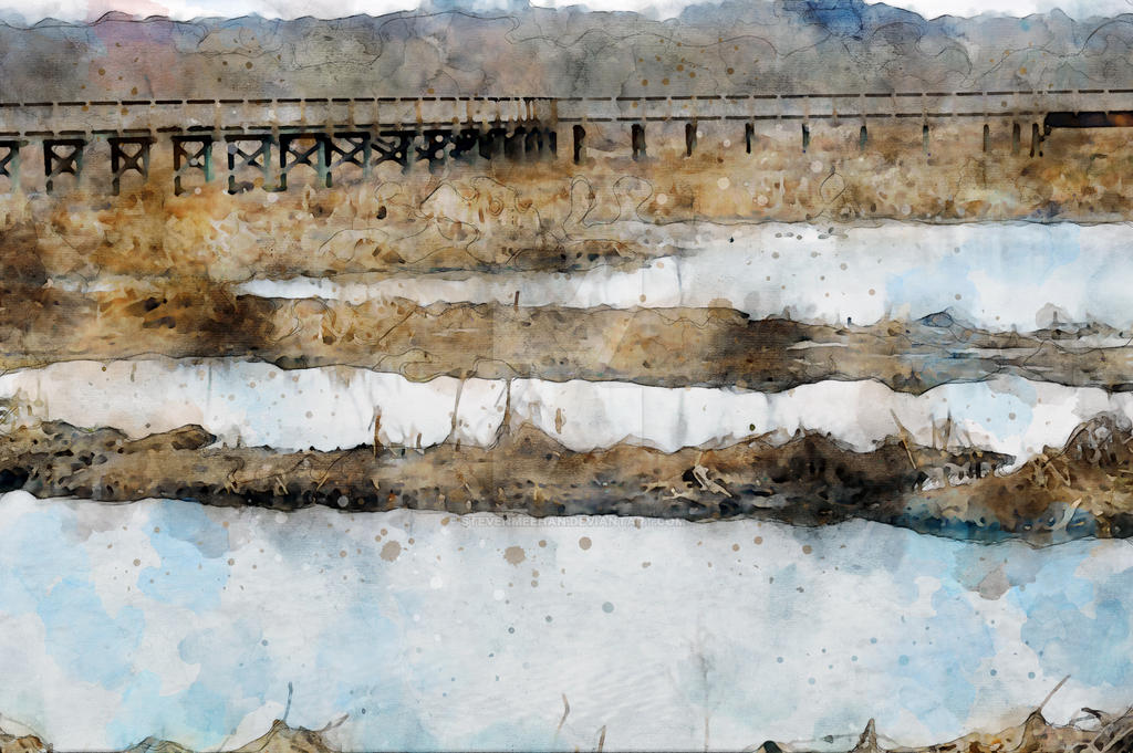 A wooden boardwalk winding through wetlands, rendered in watercolor