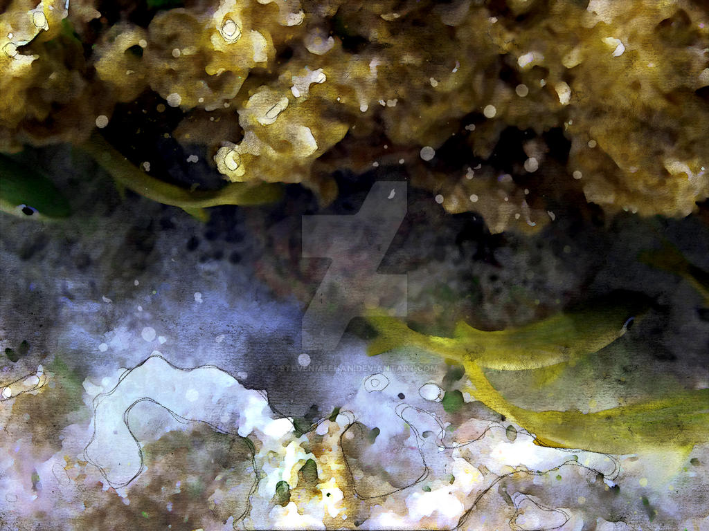 Hide and Seek Hide and Seek