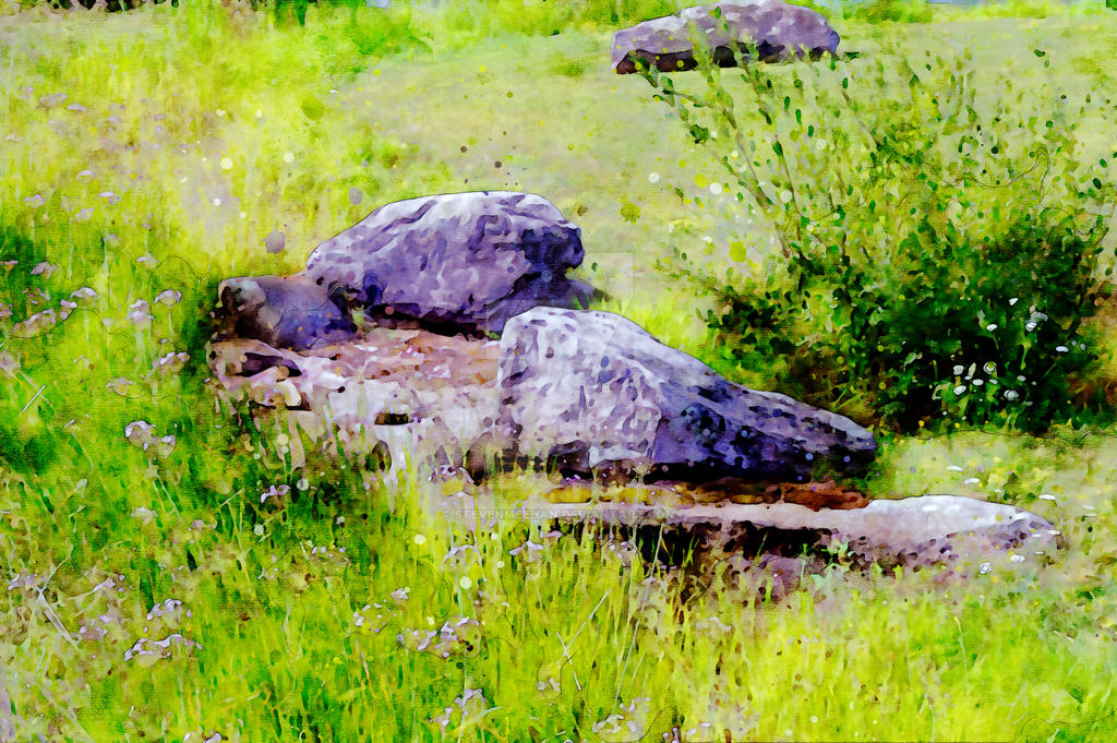 Stones nestled in tall grass among white blossoms, rendered in watercolor