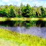 Reflecting Shore