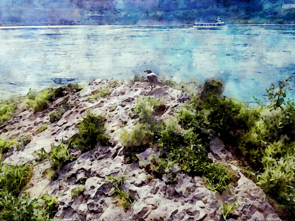A lone bird perched on rocks staring out over cascading falls and water below, rendered in watercolor
