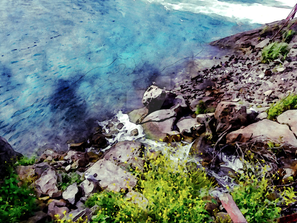 A rugged rocky shoreline contrasted with a burst of yellow wildflower buds, rendered in watercolor