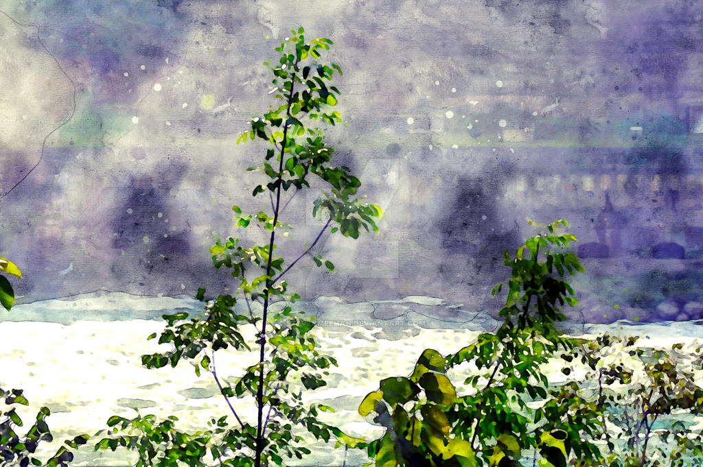 A young tree framing a view of the river below the falls, rendered in watercolor