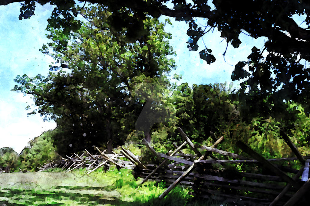 A split-rail fence stretches into shadowed forest, its lines drawing the eye deep into the scene, rendered in watercolor.