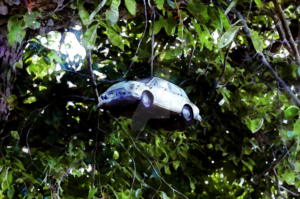 A small toy car lodged in the branches of a campsite tree catches the light like something out of a storybook, rendered in watercolor.