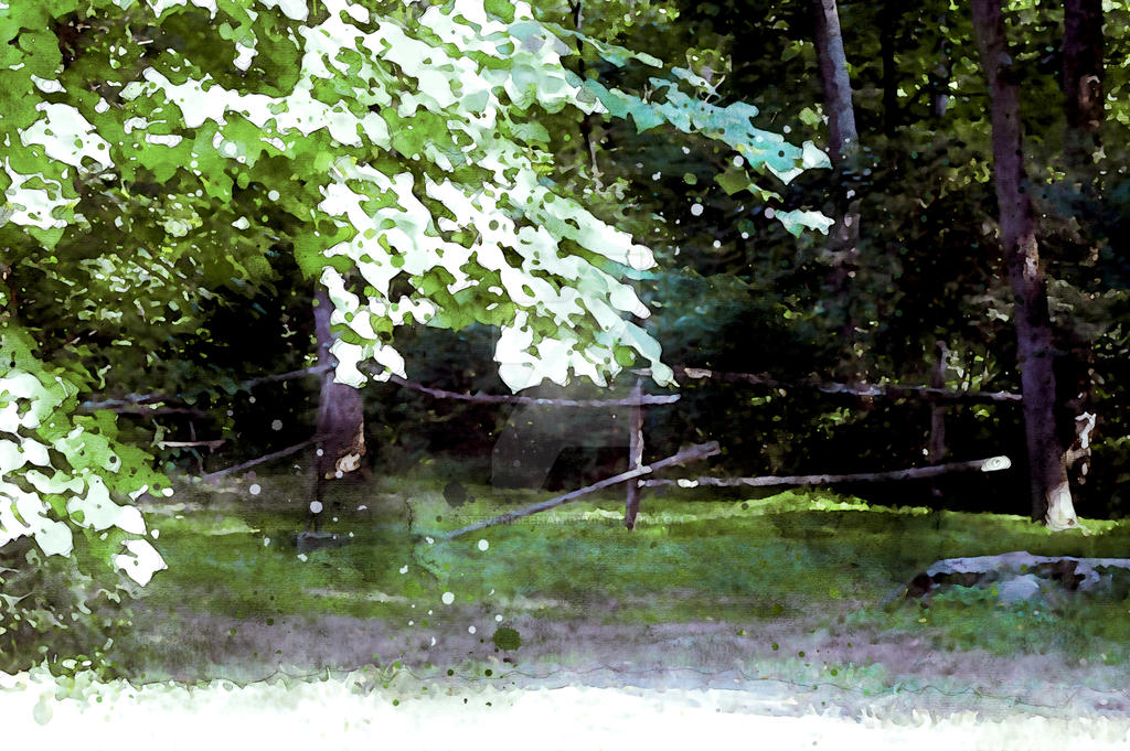 A worn fence beam slips into the undergrowth at a forest edge, grounding an otherwise restless scene, rendered in watercolor.