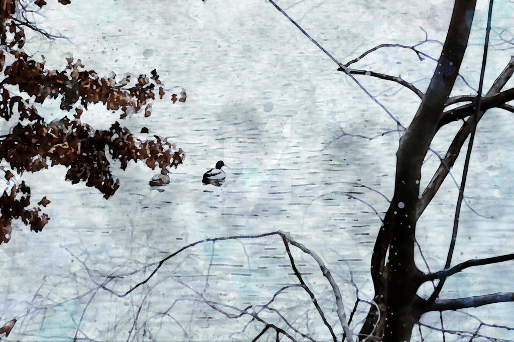A small group of ducks glides across still water, their reflections trailing softly beneath them, rendered in watercolor.