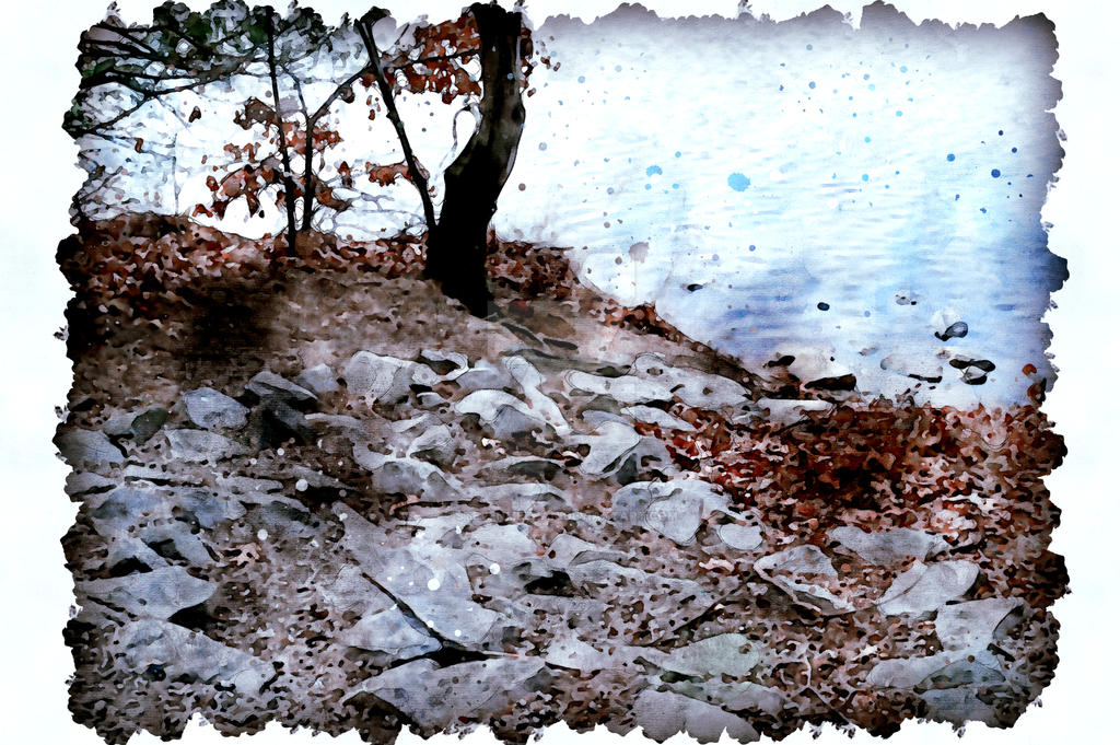 A rocky trail winds through a sunlit stretch of woodland, each stone and shadow rendered in watercolor.
