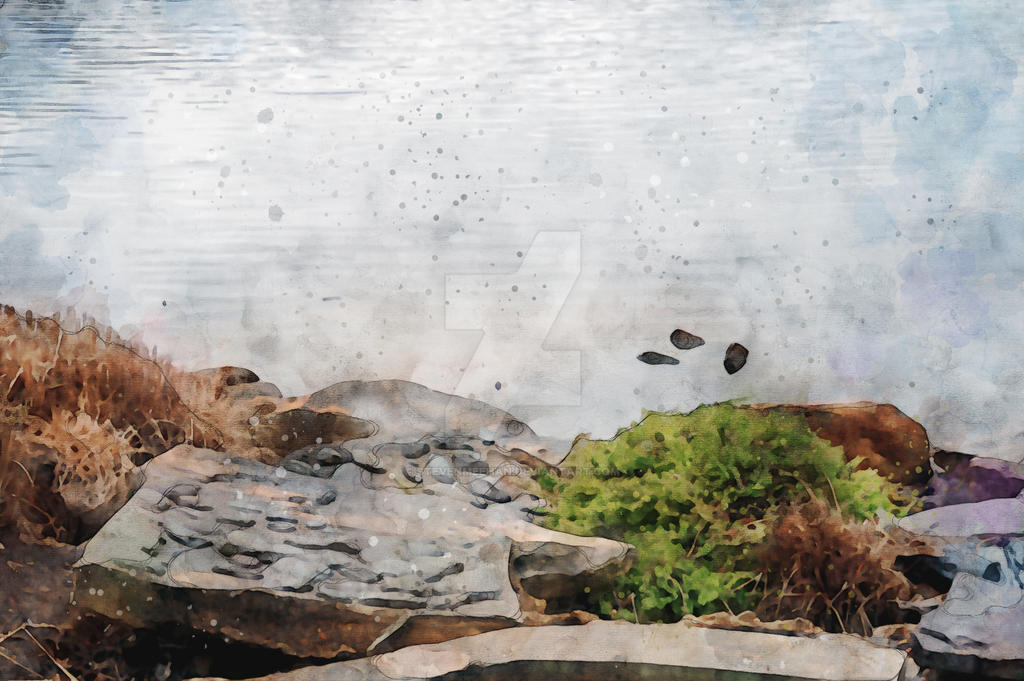 The quiet margin of a pond where the bank meets the water in a tangle of reeds and reflected sky, rendered in watercolor.
