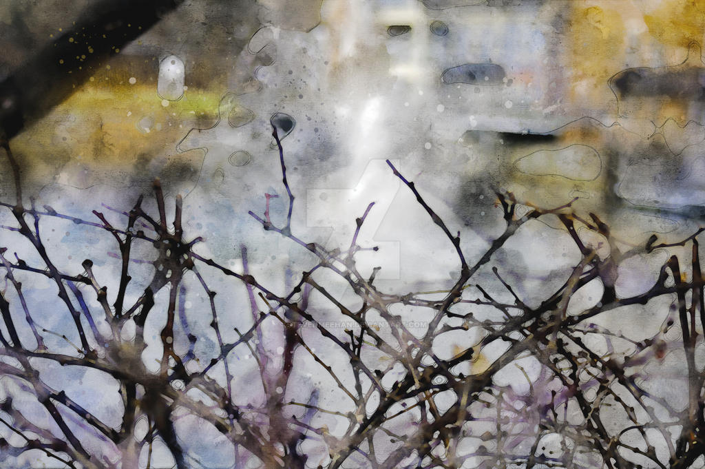 A tangle of fallen twigs crosses at improbable angles on the forest floor, rendered in watercolor.