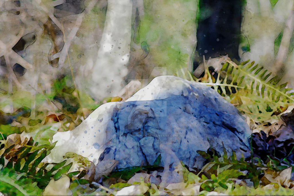 A large boulder looms at the forest's edge, its bulk softened by moss and shadow, rendered in watercolor.