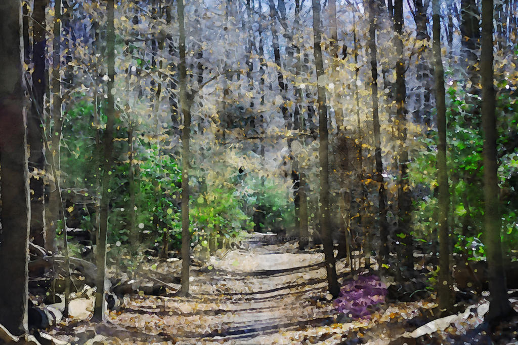 A path narrows into the distance until it disappears entirely into the trees ahead, rendered in watercolor.
