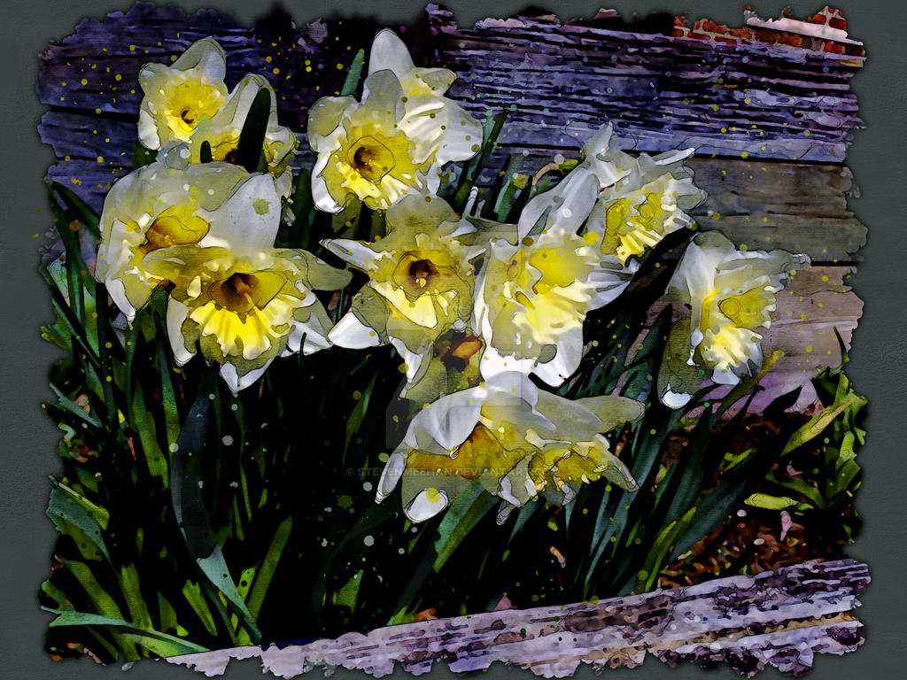 A spread of flowers stretches across the frame, texture and color woven together, rendered in watercolor.