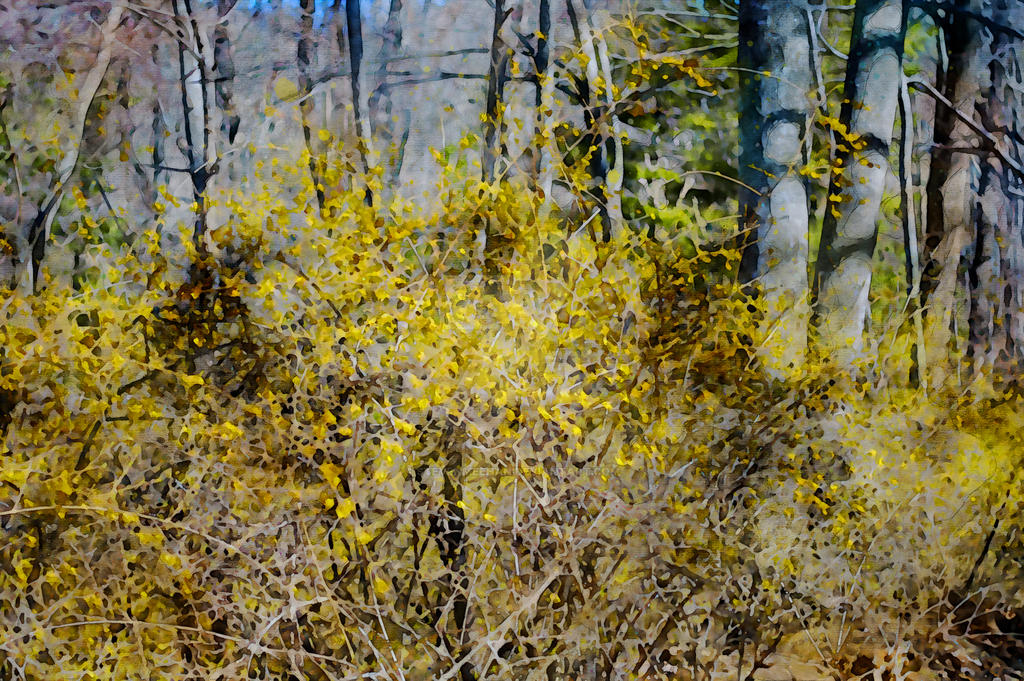 Golden drops of water cling to stems and leaves, each one catching the light like a small jewel, rendered in watercolor.