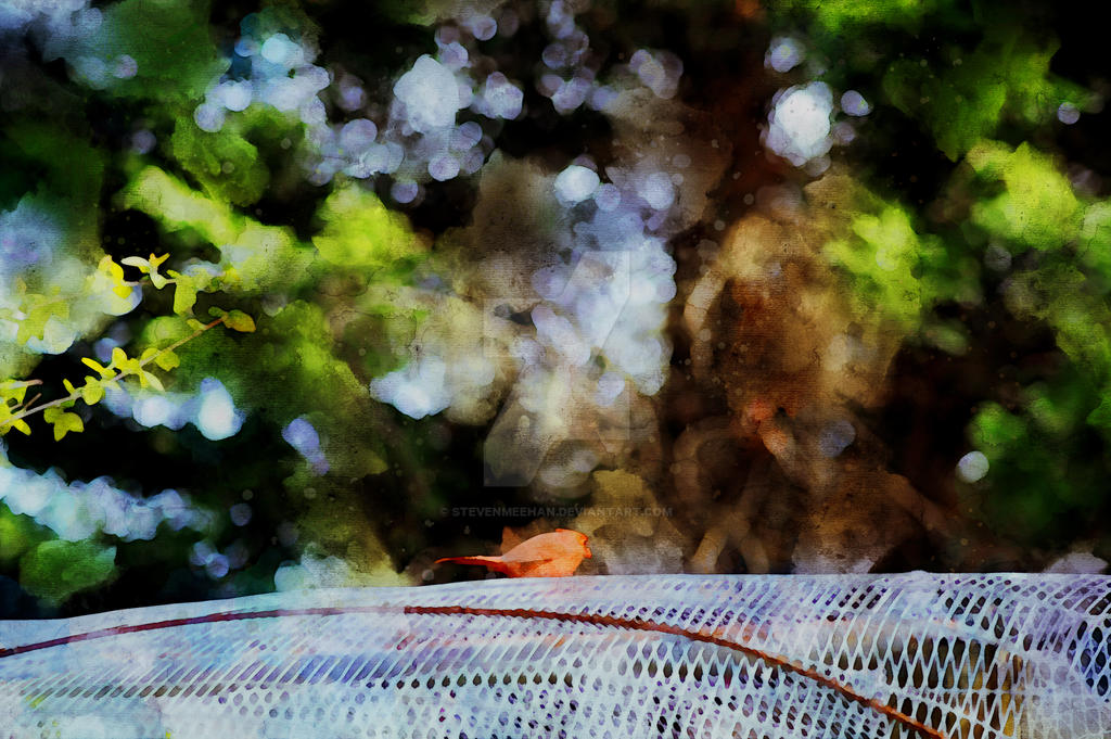 A bird in motion across the frame, wings at its sides, moving with quiet purpose, rendered in watercolor.