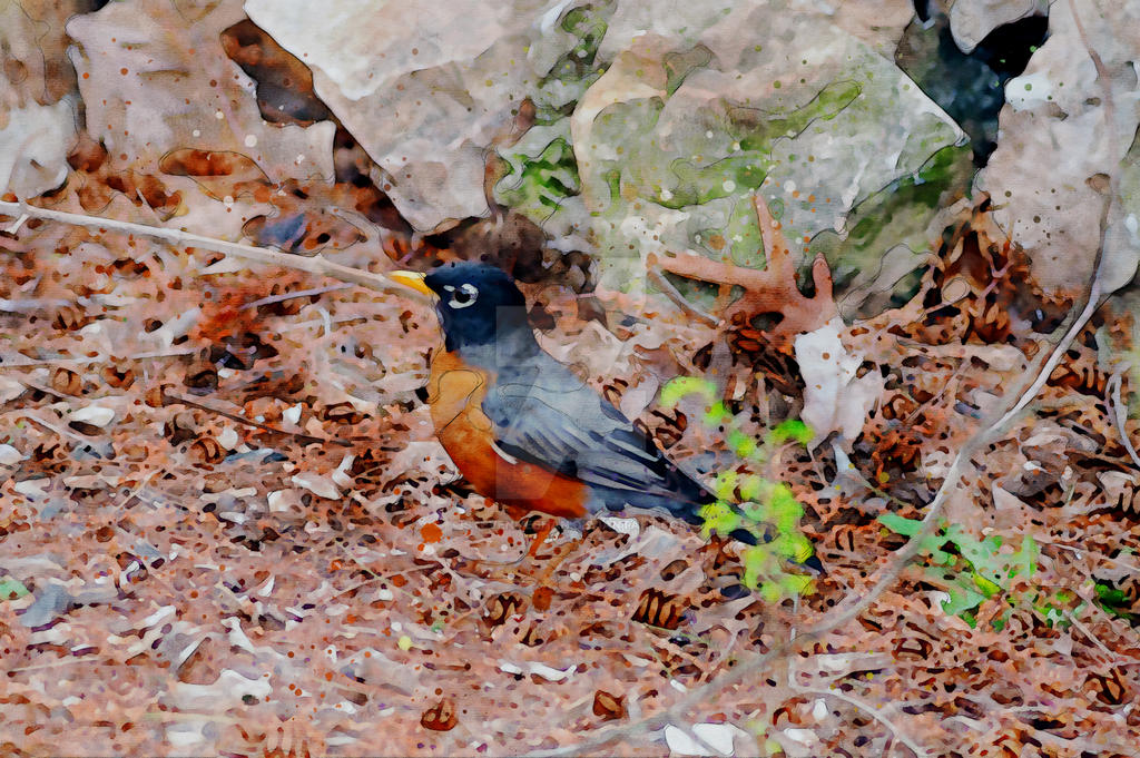 An animal pausing to observe, its attention caught by something just out of frame, rendered in watercolor.