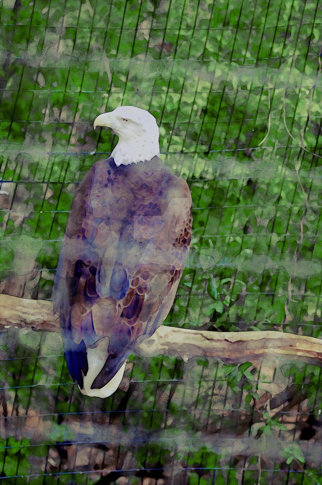 A bird turning its head sharply, beak prominent, caught mid-pivot as it scans its surroundings, rendered in watercolor.