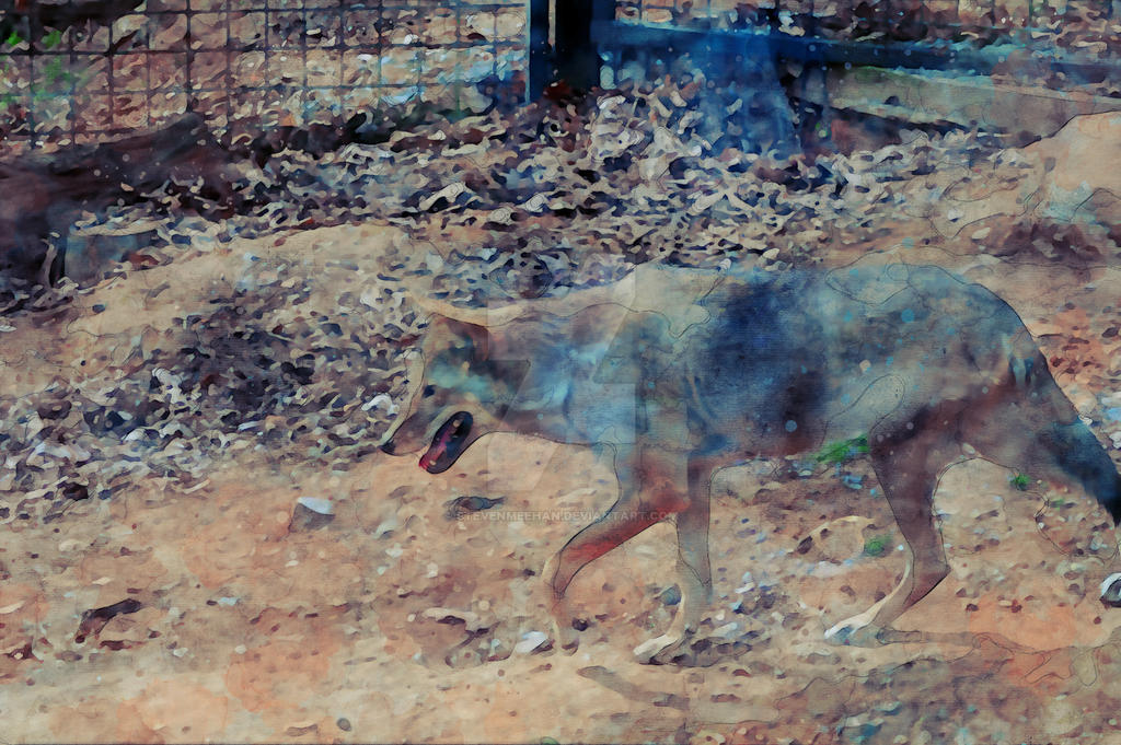 An animal moving through open space at a leisurely pace, taking in its surroundings, rendered in watercolor.