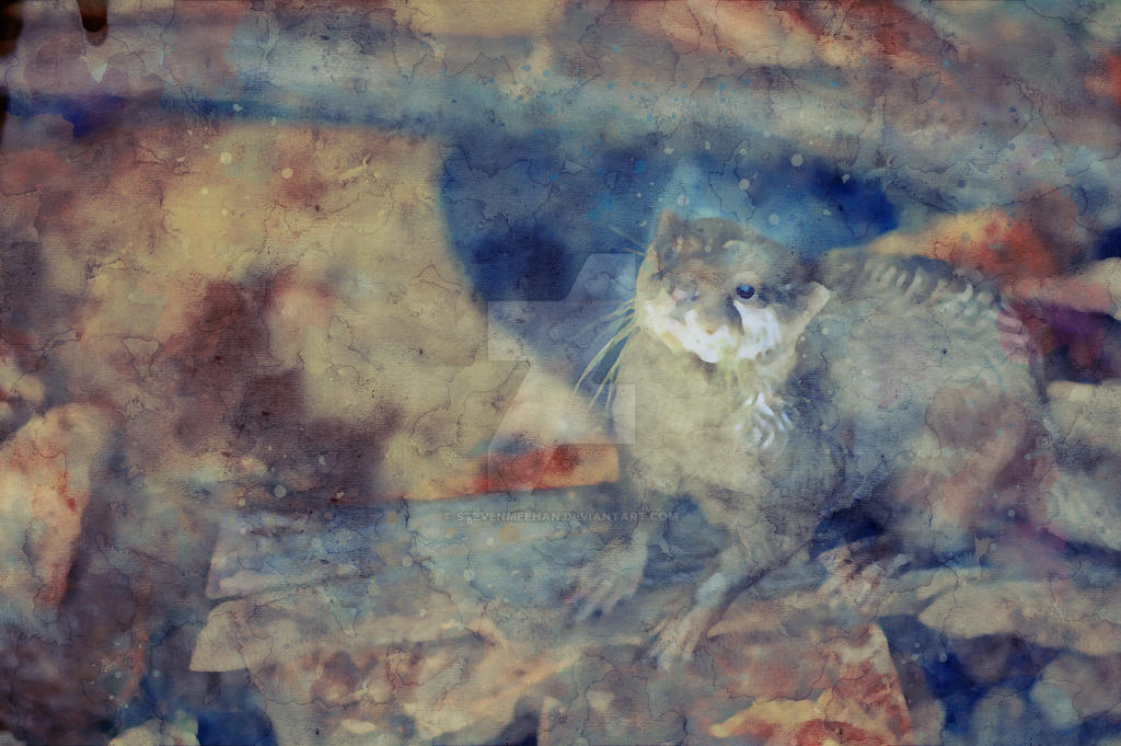 Two animals facing each other with mutual curiosity, each sizing the other up across a short distance, rendered in watercolor.