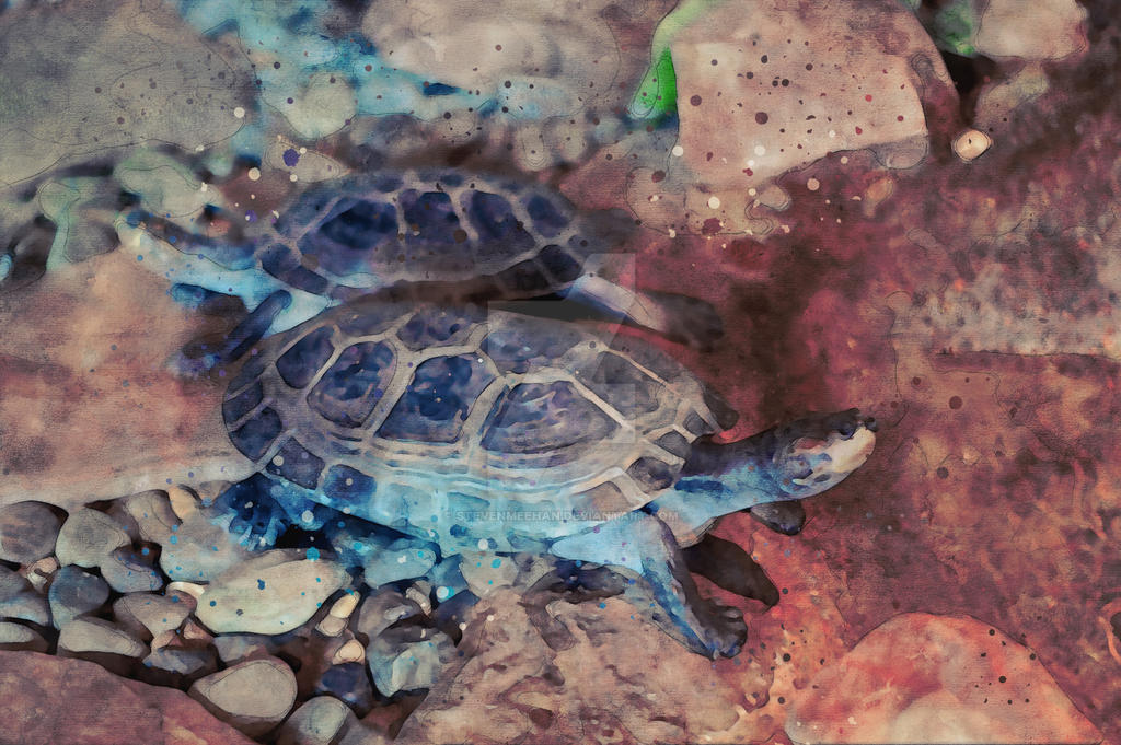 A pair of turtles moving past one another, their paths briefly crossing on the way elsewhere, rendered in watercolor.