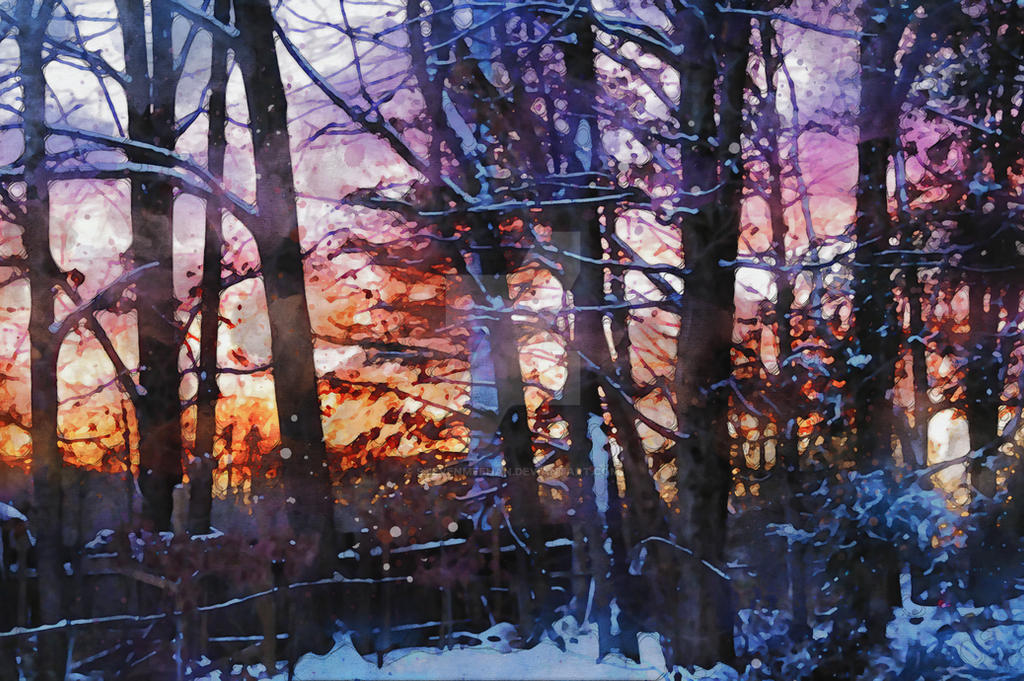 A winter sunset viewed through trees, warm light catching snow-dusted branches, rendered in watercolor.