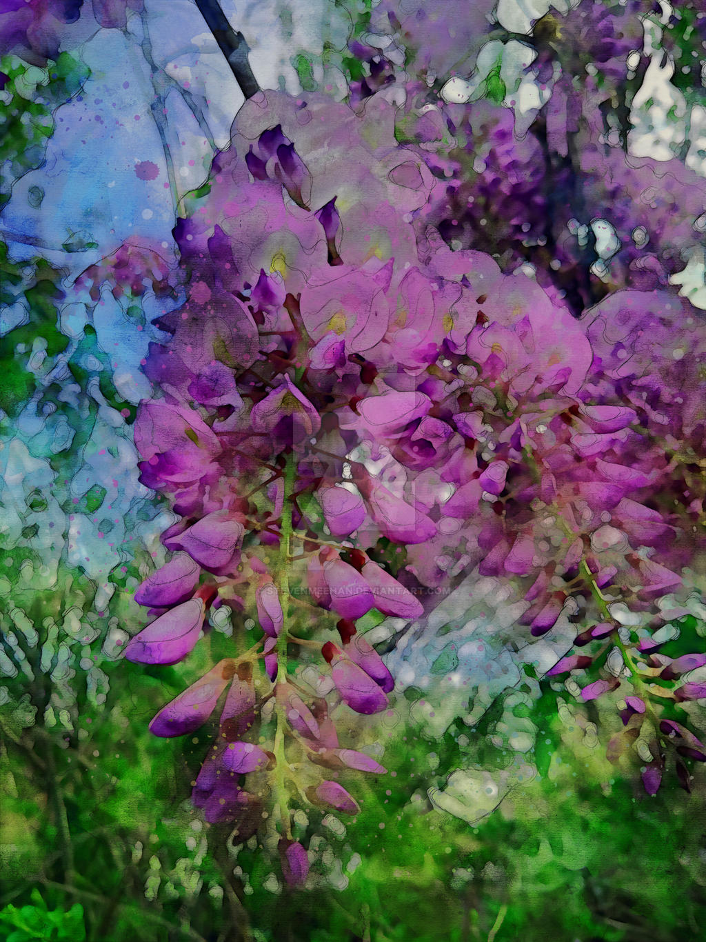A closer view of hanging blossoms, their soft color filling the frame, rendered in watercolor.