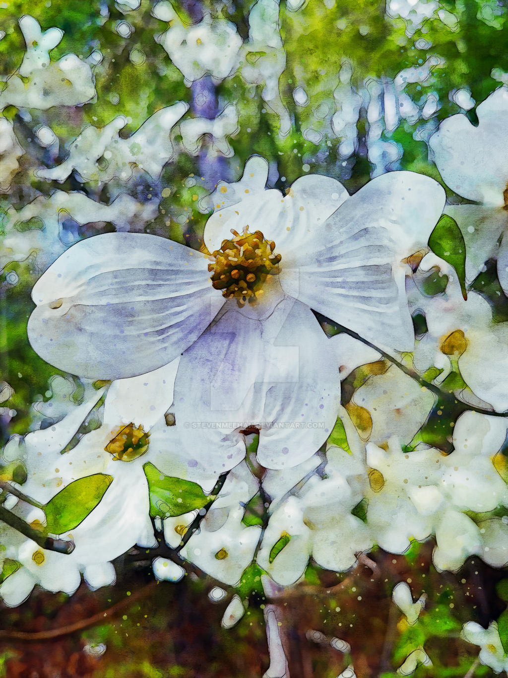 A tree in full bloom, its branches covered in pale flowers against an open sky, rendered in watercolor.