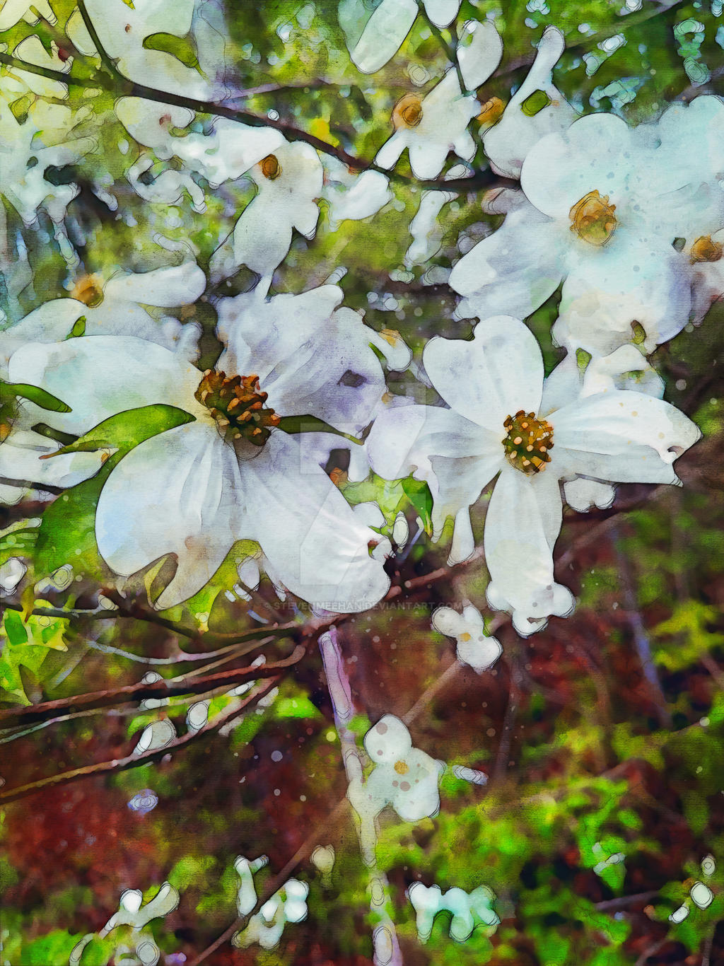 Flowering branches reaching outward, the blossoms dense and overlapping, rendered in watercolor.