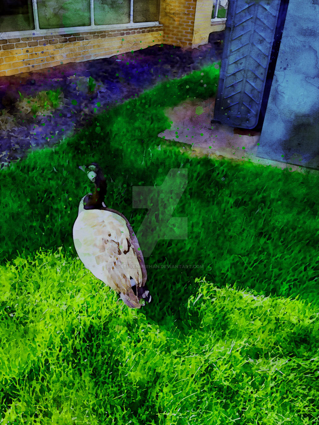 Waddling Bird 001