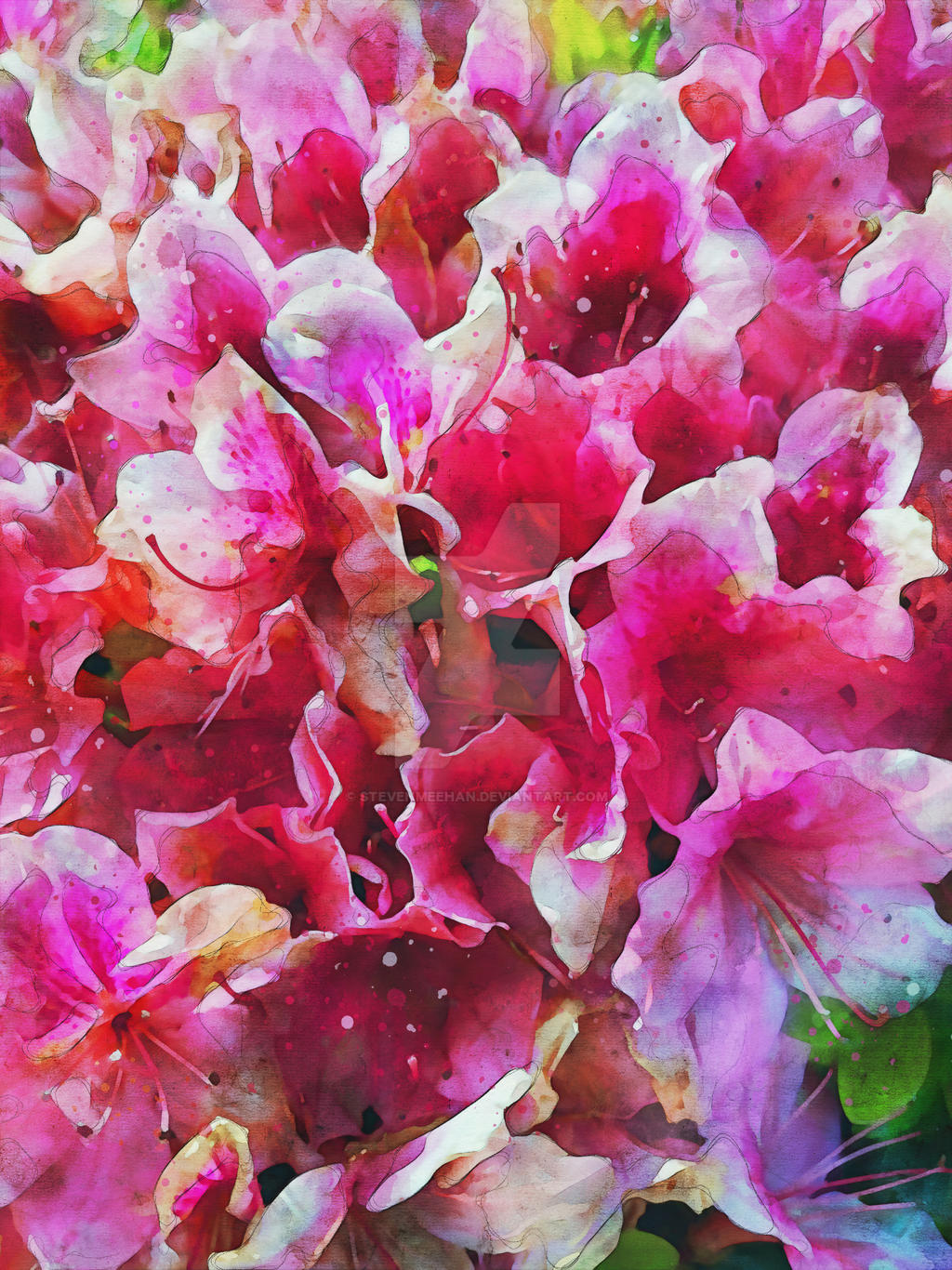 A cluster of azalea flowers, each petal layered over the next in full bloom, rendered in watercolor.