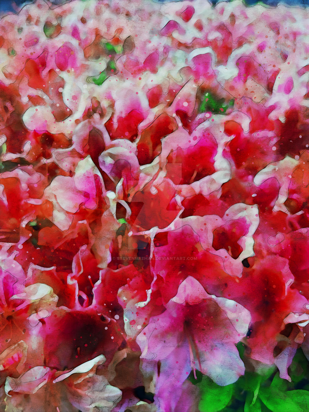 Azalea blossoms at different stages, some open wide and others still budding, rendered in watercolor.