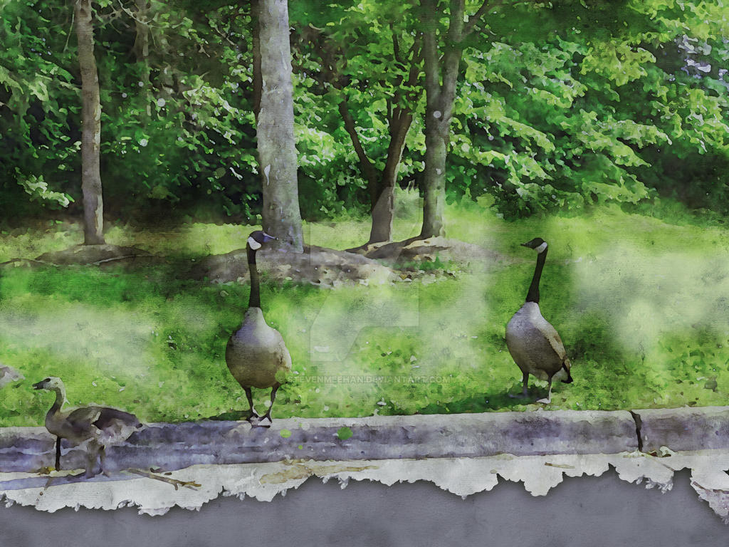 A plump bird waddling along, its short legs carrying it forward at an easy pace, rendered in watercolor.