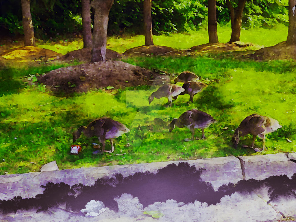 A waddling bird seen from a closer angle, its round form and short beak distinct, rendered in watercolor.