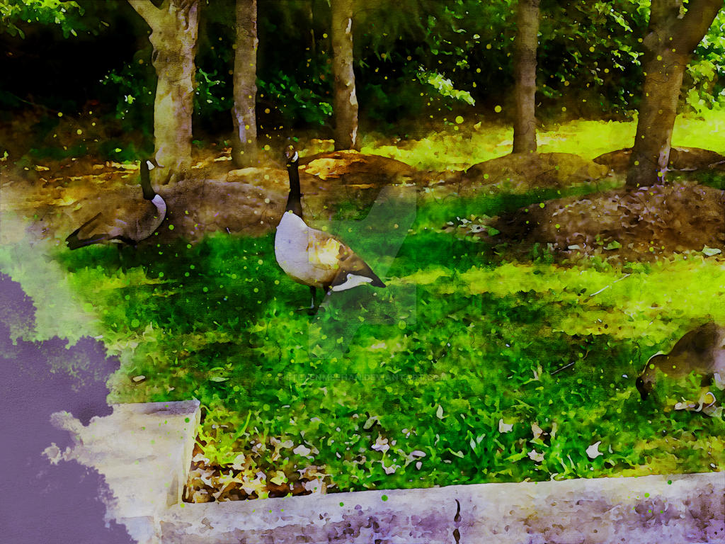 The bird resting between steps, its posture settled and still, rendered in watercolor.