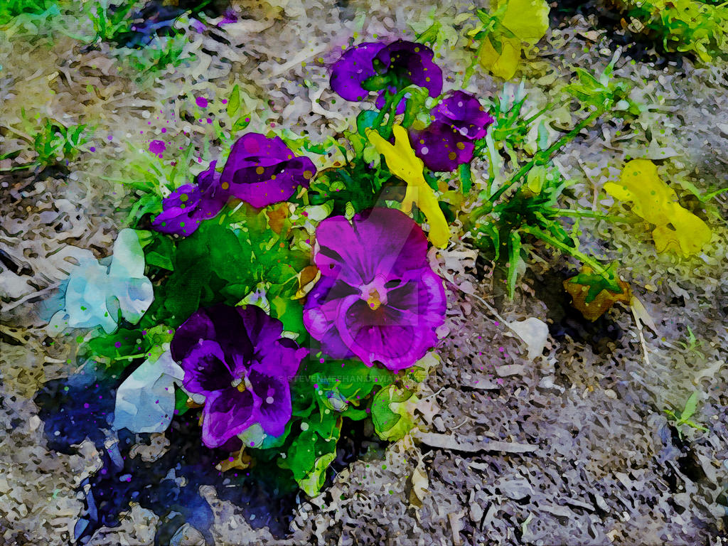 Flowers spread across a wide view, their shapes and shadows playing across the frame, rendered in watercolor.