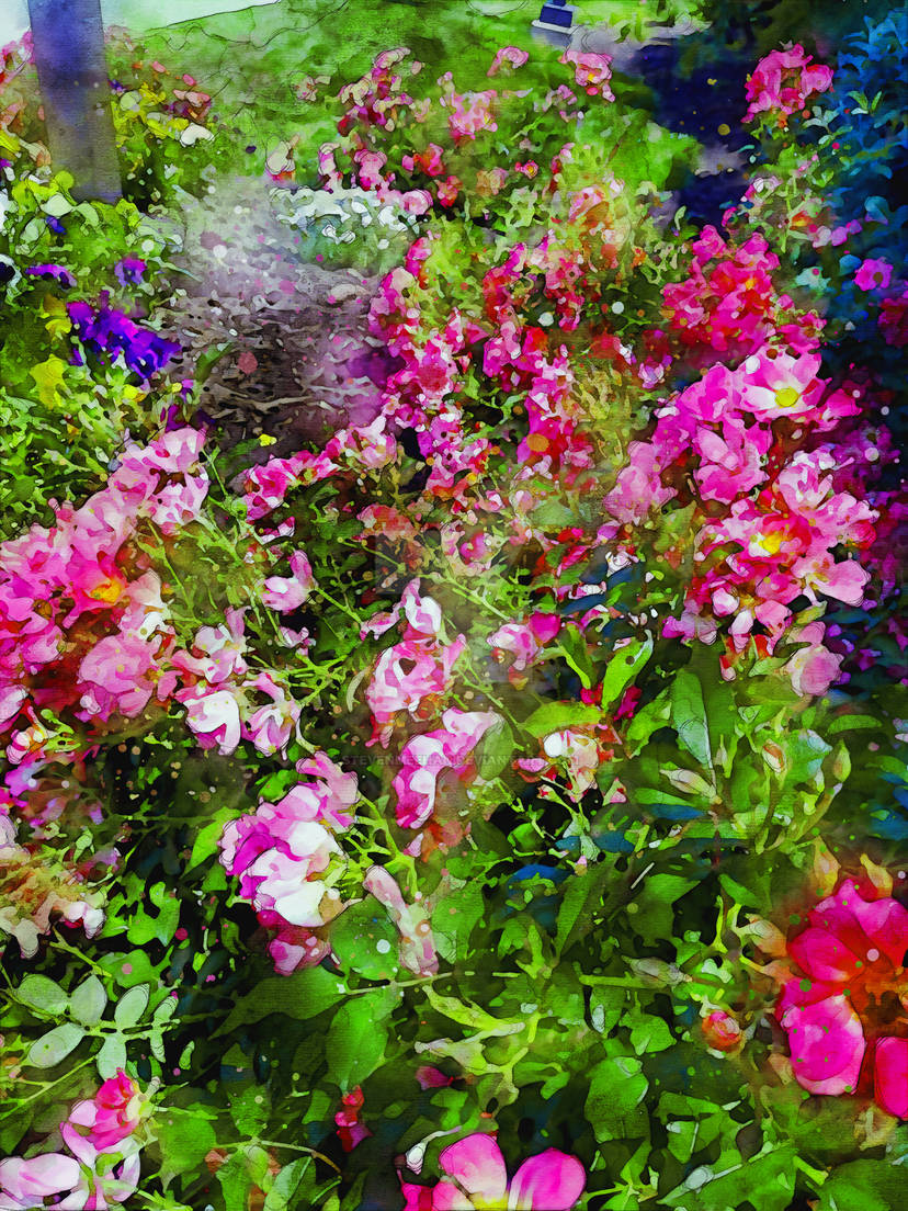 A vibrant flowerbed at peak season, colorful blooms filling the frame against a backdrop of green foliage, rendered in watercolor.