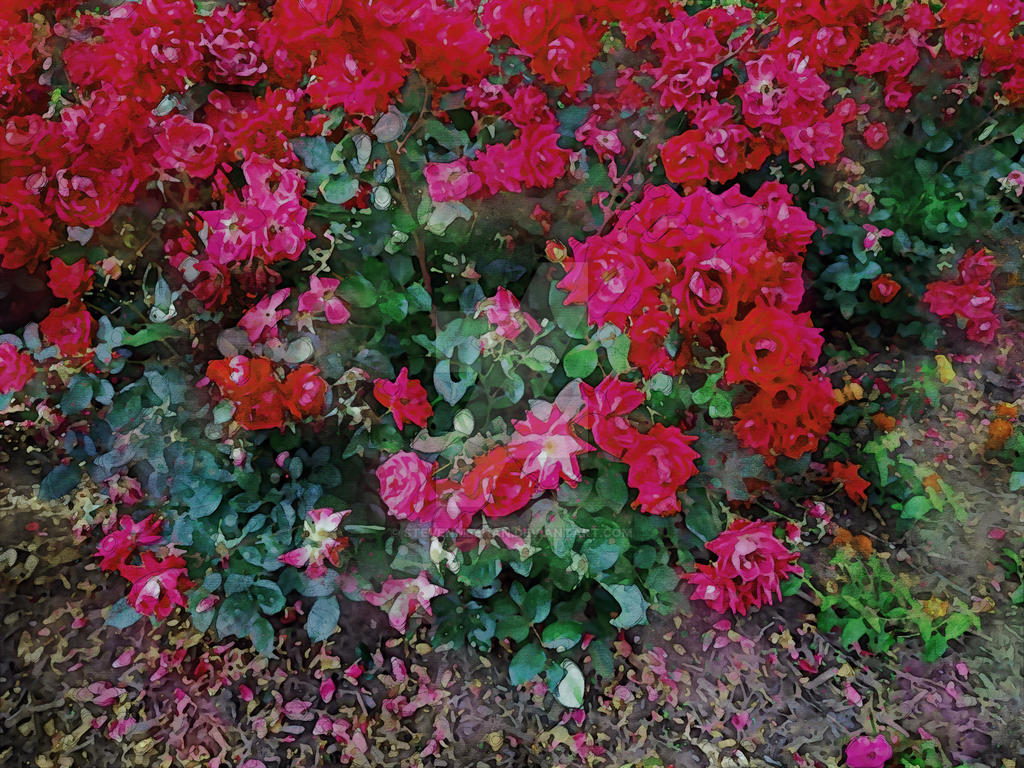 Flowers 015 Flowers 015