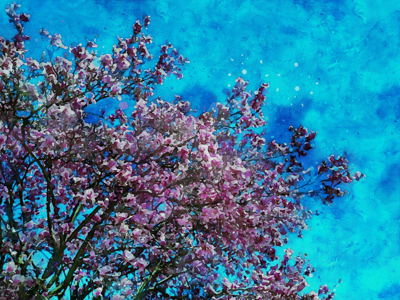 A blooming tree photographed from below, branches spreading out against a bright sky, rendered in watercolor.