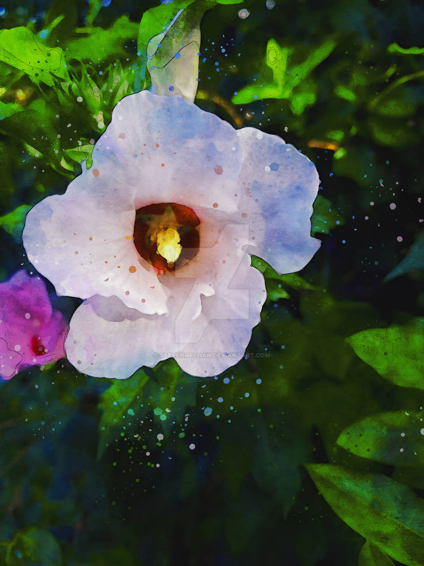 Two flowers, one white and one softly colored, growing through overgrown foliage on a deck, their quiet presence in an unlikely spot, rendered in watercolor.
