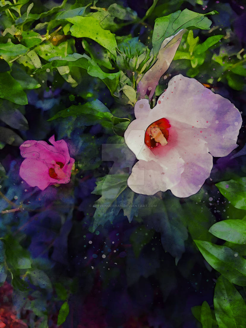 Two flowers, one white and one pink or lavender, discovered growing through overgrown foliage along a fence line, rendered in watercolor.