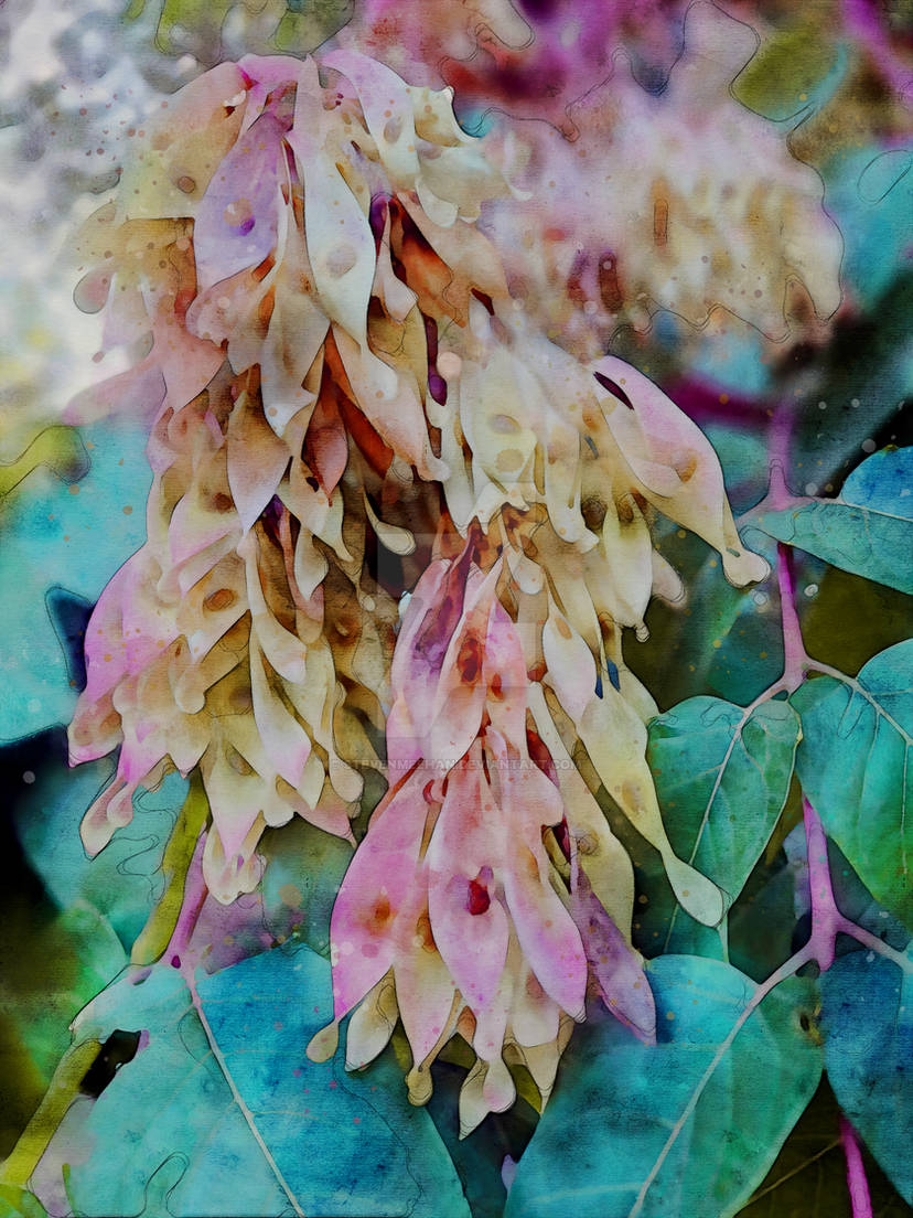 A closer look at maple seeds clustered on branches, their delicate wing-like structures creating quiet patterns against the sky, rendered in watercolor.