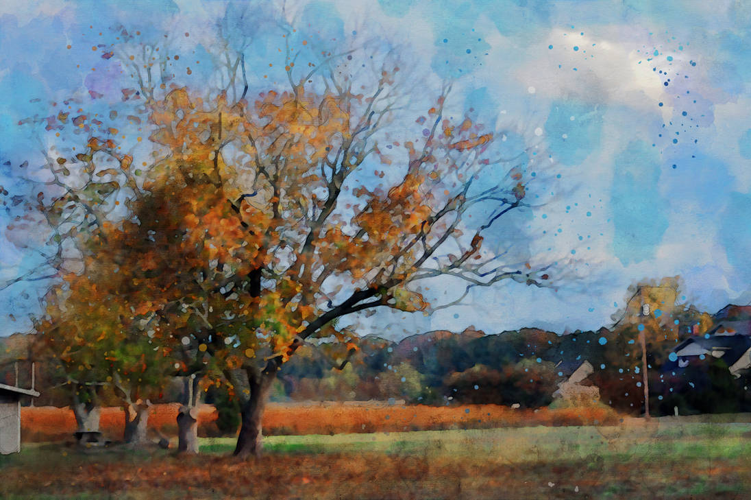 A solitary tree mid-transition, some of its colorful leaves already shed while the remaining foliage clings to the branches, evergreens standing in quiet contrast behind, rendered in watercolor.